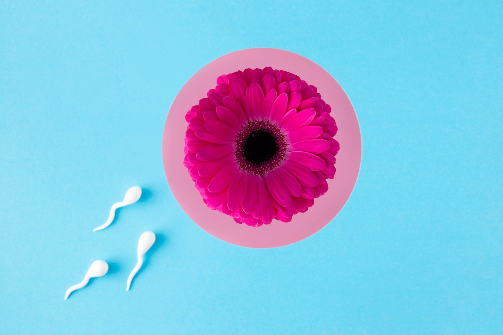IUI Treatment
